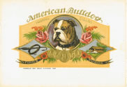 Show product details for AMERICAN BULLDOG