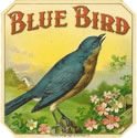 Show product details for BLUE BIRD