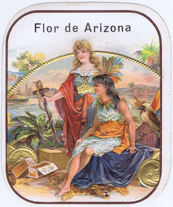 Flor de Arizona