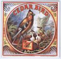 Show product details for CEDAR BIRD