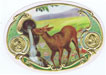 Show product details for ARETHUSA