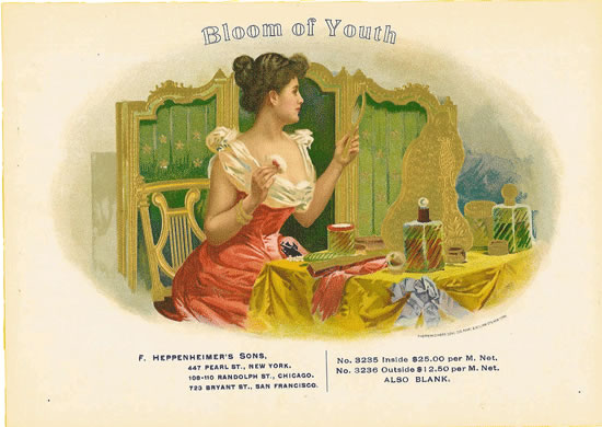 Bloom Of Youth Meaning