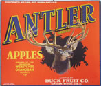 Show product details for ANTLER