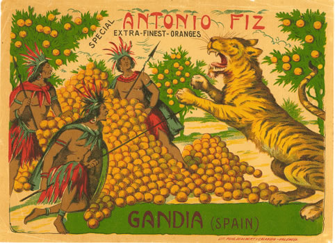 ANTONIO FIZ