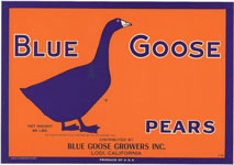Show product details for BLUE GOOSE