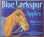 Show product details for BLUE LARKSPUR