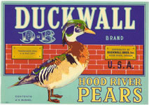 Show product details for DUCKWALL