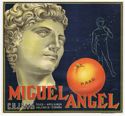 Show product details for MIGUEL ANGEL