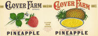 Show product details for CLOVER FARMS CRUSHED HAWAIIAN PINEAPPLE