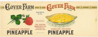 Show product details for CLOVER FARMS CRUSHED HAWAIIAN PINEAPPLE