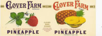 Show product details for CLOVER FARMS SLICED HAWAIIAN PINEAPPLE