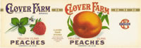 Show product details for CLOVER FARMS PEACHES