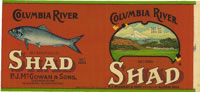 Show product details for COLUMBIA RIVER SHAD