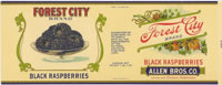 Show product details for FOREST CITY BLACK RASPBERRIES