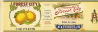 Show product details for FOREST CITY EGG PLUMS