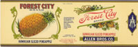 Show product details for FOREST CITY HAWAIIAN SLICED PINEAPPLE