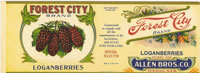 Show product details for FOREST CITY LOGANBERRIES*