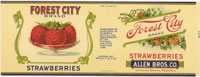 Show product details for FOREST CITY STRAWBERRIES