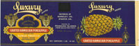 Show product details for LUXURY GRATED HAWAIIAN PINEAPPLE 1lb 14oz