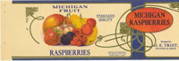 Show product details for MICHIGAN FRUIT