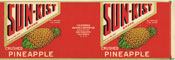 Show product details for SUN-KIST CRUSHED PINEAPPLE