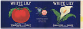Show product details for WHITE LILY TOMATOES WITH PUREE 1LB 12OZ