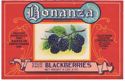 Show product details for BONANZA BLACKBERRIES