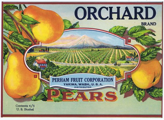 ORCHARD