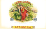 AFRICORA