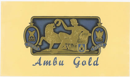 AMBU GOLD