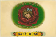 BABY ROSE