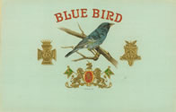 BLUE BIRD