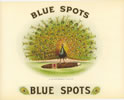 BLUE SPOTS