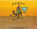 CAMEL