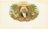 CONSUL