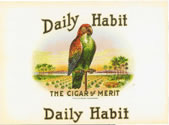 DAILY HABIT