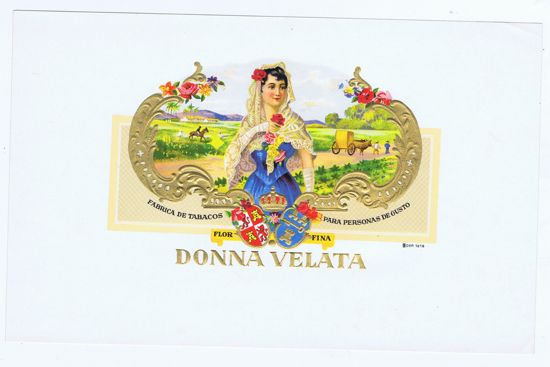 DONNA VELATA