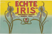 ECHTE IRIS