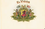 EL VIGOR