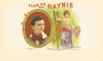 FLOR DE HAYNIE