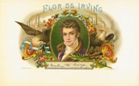 FLOR DE IRVING