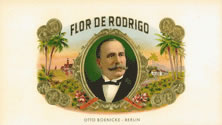 FLOR DE RODRIGO