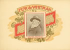 FLOR DE WHITMAN