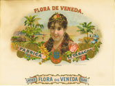 FLORA DE VENEDA