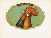 GALLUS