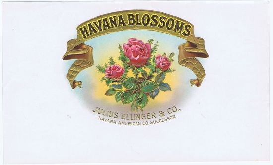 HAVANA BLOSSOMS