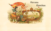 HAVANA CONCHAS