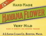 HAVANA FLOWER