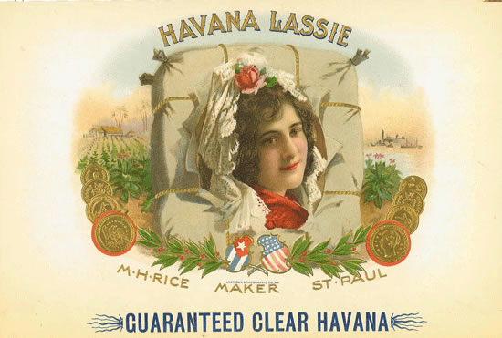 HAVANA LASSIE