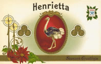 HENRIETTA